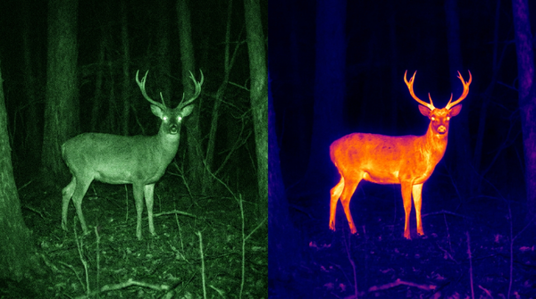 Night vision (green) vs thermal (heat map) view of a deer at night