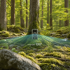4G+ Trail Camera