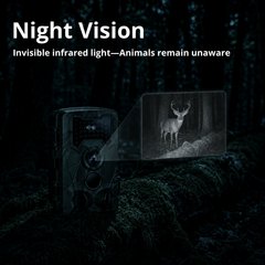 4G+ Trail Camera