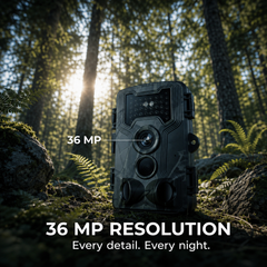4G+ Trail Camera