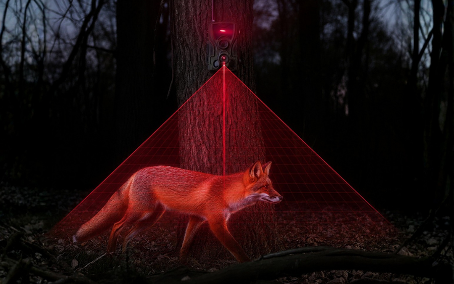 See in the dark like never before