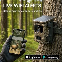 4G Solar Trail Camera 4K