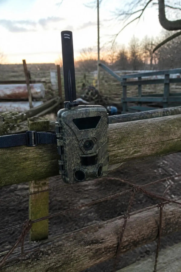SightForest customer review photo