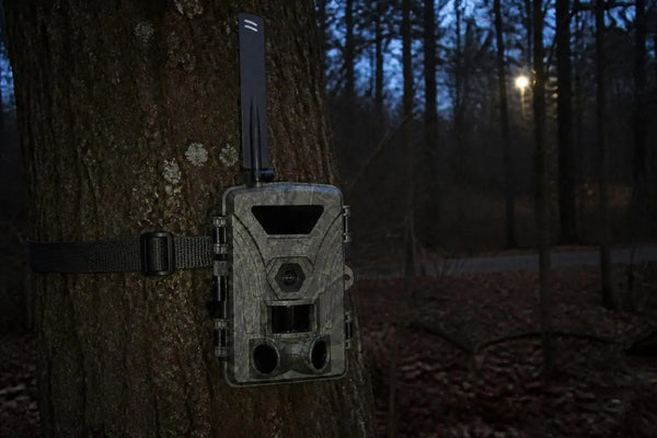 SightForest customer review photo
