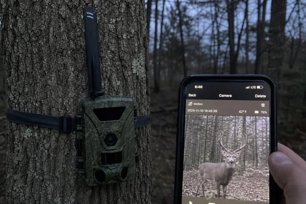 SightForest customer review photo