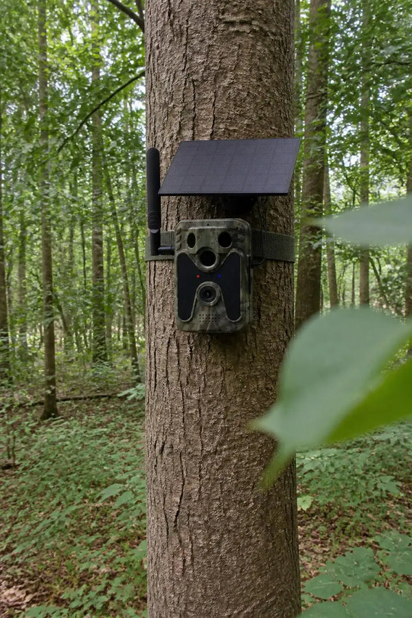 SightForest customer review photo