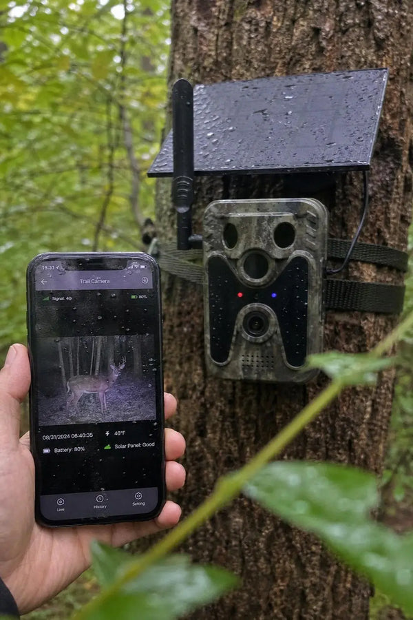 SightForest customer review photo