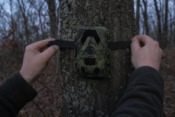 SightForest customer review photo