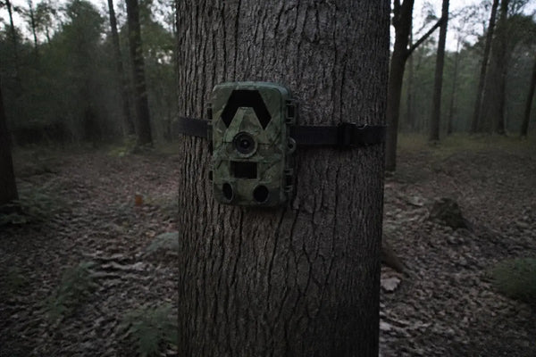 SightForest customer review photo