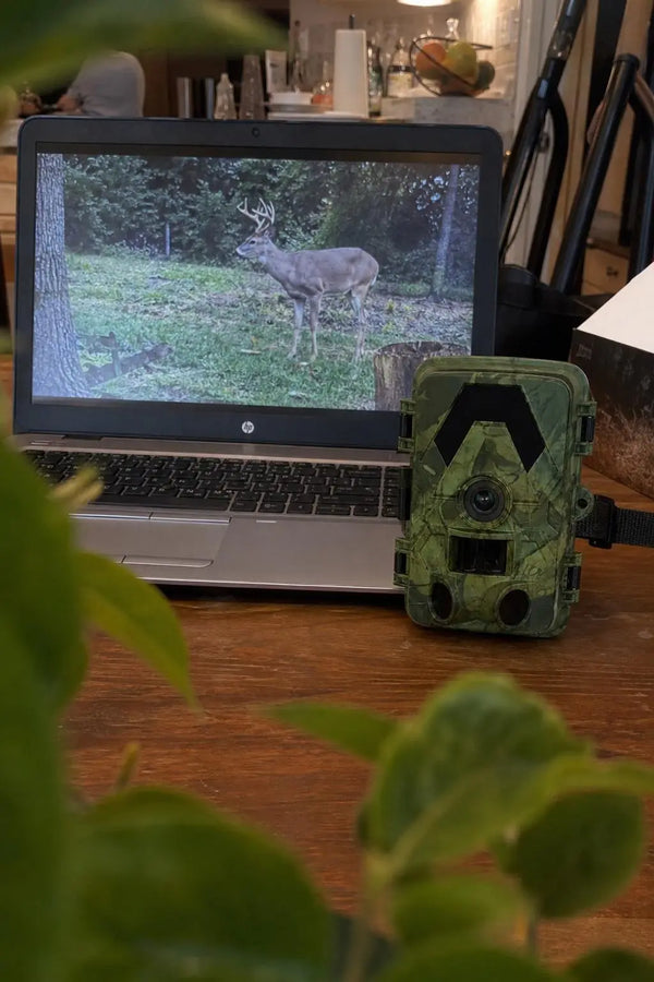 SightForest customer review photo