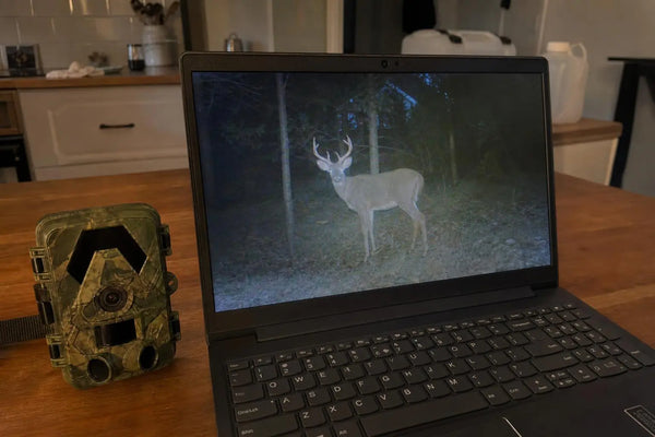 SightForest customer review photo