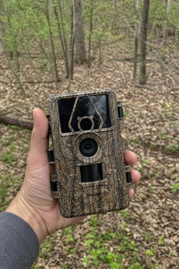 SightForest customer review photo