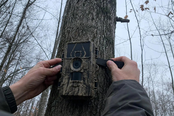 SightForest customer review photo