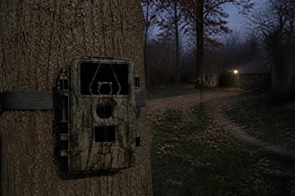 SightForest customer review photo