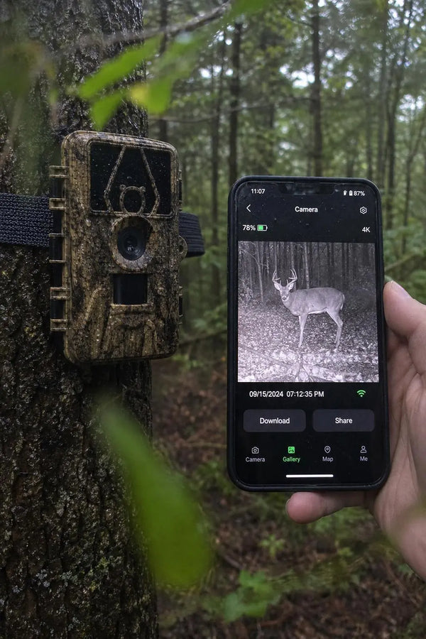 SightForest customer review photo